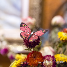 ʻO ka hoʻonani butterfly ma ka paia